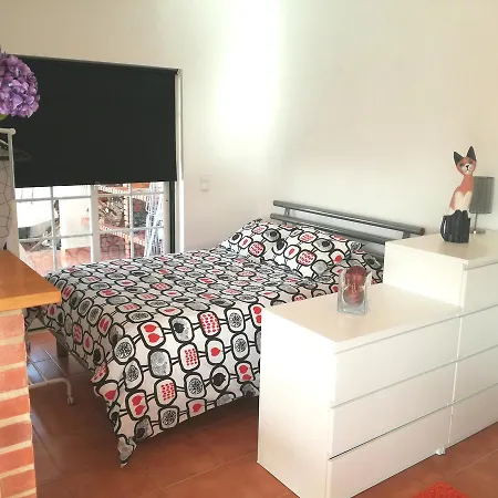 Casa Alto Do Vale * 马夫拉
